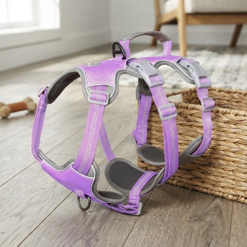 Imbracatura per cani - imbracatura, viola