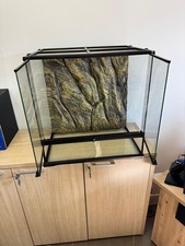 teca in vetro per rettili 