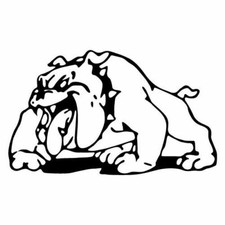 Kit 2 adesivi tuning BULLDOG custom decals