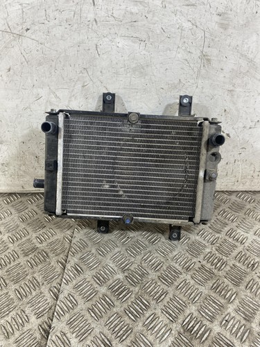 113969 radiatore sym joymax - radiatore,