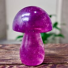 48G Fluorite Naturale Funghi Intagliati a Mano Quarzo Cristallo Reiki Guarigione