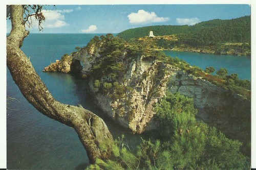 Vieste baia pittoresca - (fg),