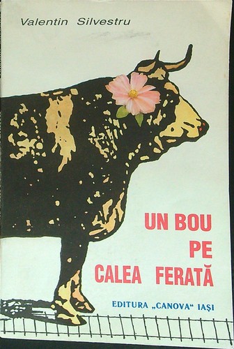Bou calea ferata - bou, pe
