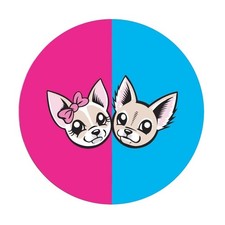 Cialda in Ostia Me contro Te