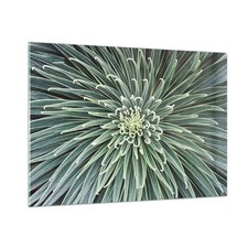 Quadro vetro 100x70cm - vetro,