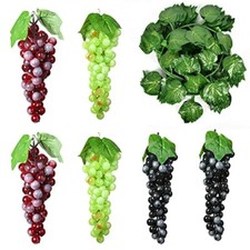 Molyorch 6 Pezzi Uva