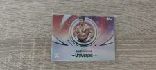 2025 topps wwe universe - topps,
