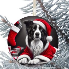 Border Collie cane da