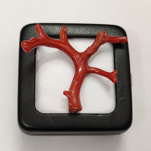 Ramo corallo rosso vintage - ramo,