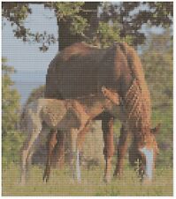 Punto Croce Motivo Da