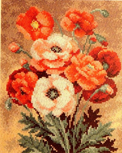 Quadro canovaccio mezzo punto - canovaccio,