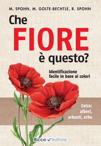 Che fiore questo spohn - fiore, è