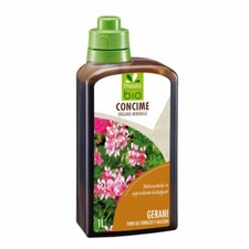 Concime per gerani
