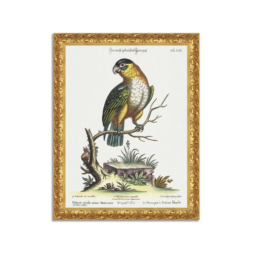 Quadro stampa tela effetto - su,