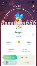 Ponyta Lucido che indossa un