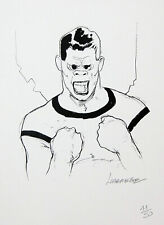 LIBERATORE VOLUME RANXEROX INTEGRALE LIMITED - P.A.