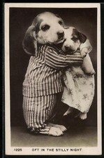 Due cuccioli di cane vestiti