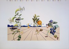 Salvador DALI : Flordali I - Lithographie originale signée
