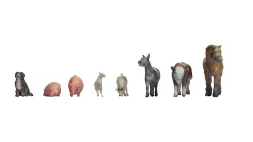 Noch 44705 animali del - -,