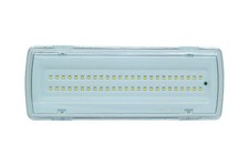 Lampada di Emergenza 50 LED Parete Incasso 4W Luce Fredda 406