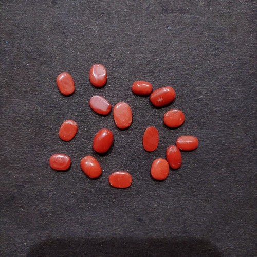 Autentico corallo rosso