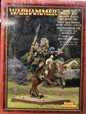 Warhammer Wood Elf Hero On