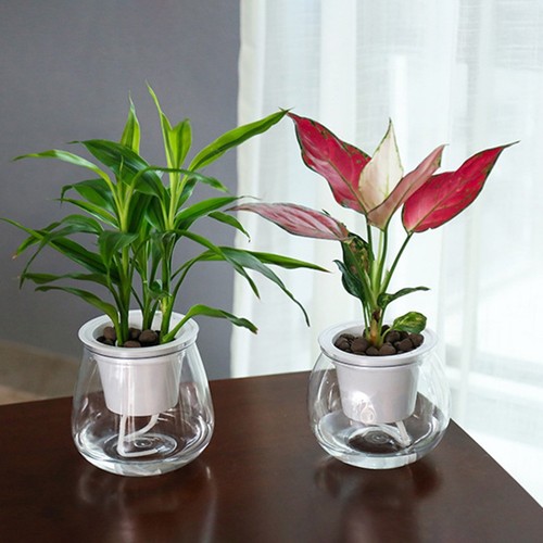 Vaso fiori autoirrigante - vaso, da