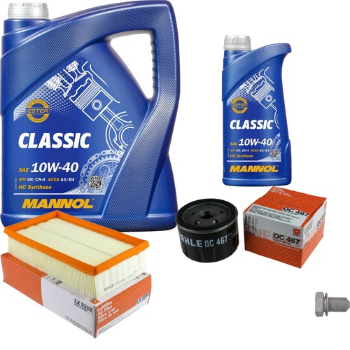 Pacchetto ispezione mahle l - 6,