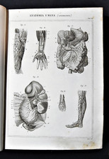 Stampa antica nomenclatura - Medicina Anatomia Umana Fisiologia Angiologia vasi