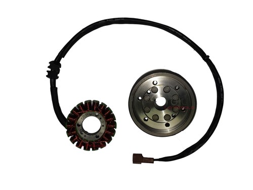 V831100102 statore volano - statore,