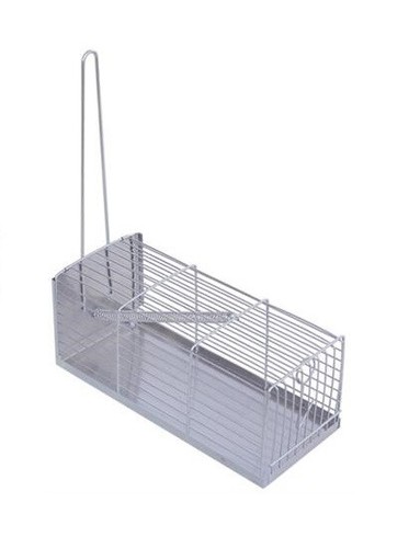 Trappola topi galleria - a,