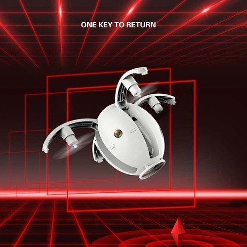 Creativo forma uovo - creativo,