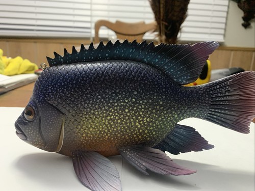 Fish decoy rio grande - decoy-rio,