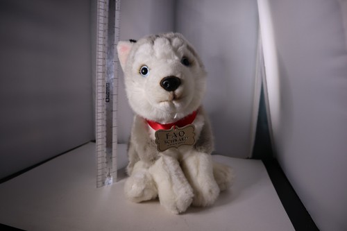 Fao schwarz siberian husky - fao,