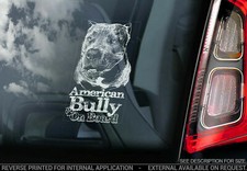 Adesivo auto bullo americano -
