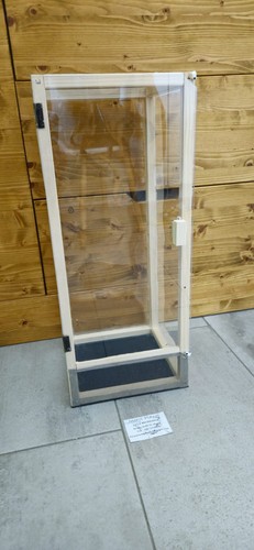Teca terrario insetti stecco
