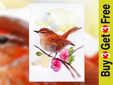 Spring Songbird 5"x7" Stampa