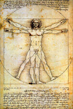 Uomo vitruviano di Leonardo -
