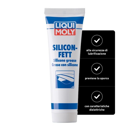 Grasso silicone 100 - grasso, g