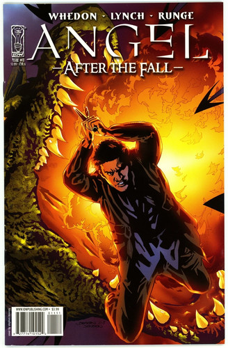 Angel after the fall - angel:,