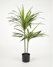 Pianta di Yucca Artificiale