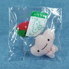 San-X Personaggio Kogepan