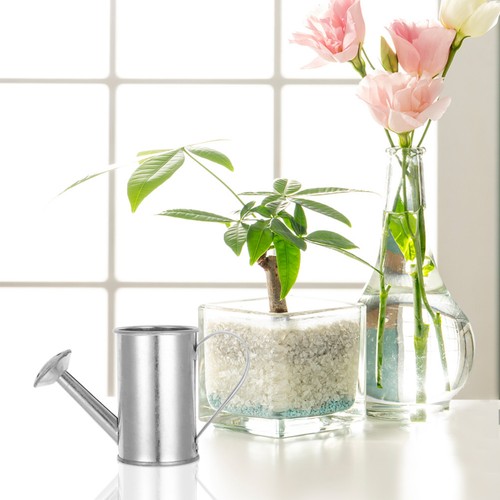 Annaffiatoio ferro lattine - in,