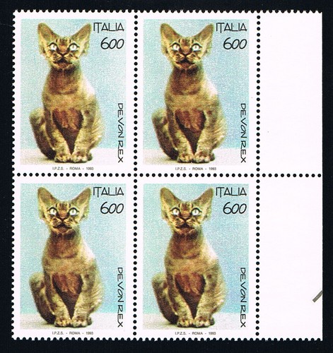 Italia quartina animali il - italia,