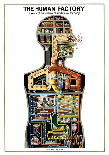 Fabbrica umana 1931 poster - fabbrica,
