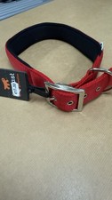 Collare Rosso Cane Taglia Grande 