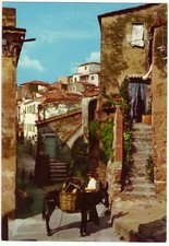 CAPOLIVERI - LIVORNO - ANGOLO PITTORESCO -19649-