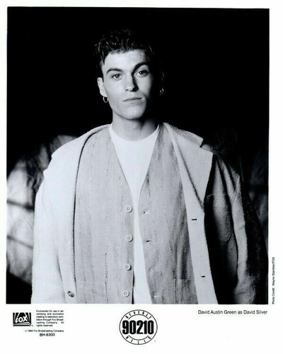 Beverly hills 90210 - hills, david