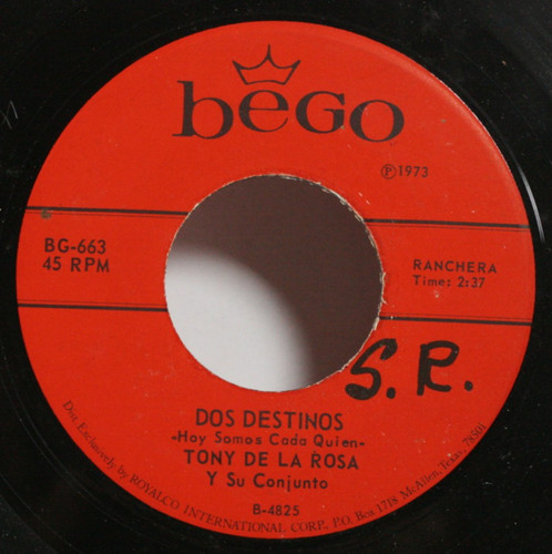 Tony rosa 7 dos - rosa,