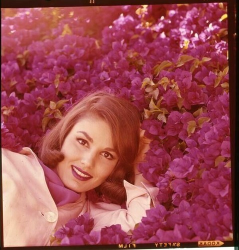 Paula prentiss servizio - prentiss,